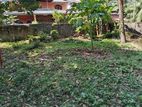Superb Land for Sale Boralesgamuwa