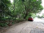 Superb Land for Sale Colombo 5 Polhengoda