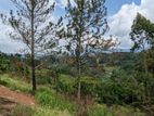 Superb Land for Sale Ella, Bandarawela