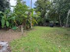 SUPERB LAND FOR SALE IN BORALESGAMUWA BOKUNDARA