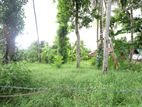 Superb Land for Sale in Boralesgamuwa