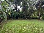 SUPERB LAND FOR SALE IN BORALESGAMUWA