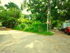 Superb Land for Sale in Colombo 5 (Polhengoda)