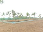 Superb Land for Sale in Galle