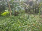 Superb Land for Sale in Horana