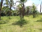 Superb Land For Sale in Horana