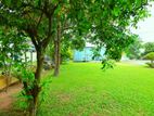 Superb Land for Sale in Katubedda