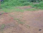 Superb Land for Sale in Kelaniya