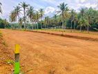 Superb Land For Sale In PADUKKA