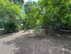 Superb Land for Sale in Piliyandala Bokundara