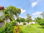Superb Land for Sale in Wattala