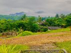 Superb Land For Sale Near Avissawella Town