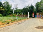 Superb Land For Sale Near Eheliyagoda Town