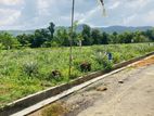 Superb Land For Sale Near Eheliyagoda Town