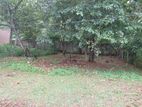 Superb Land for Sale Talawathugoda