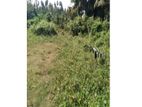 Superb Land for Sale Waduwaa