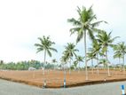 Superb Land Plots for Sale in Galle