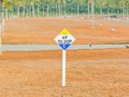 Superb Land plots for Sale in Galle