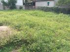 Superb Land with House for Sale Pannipitiya