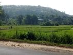 Superb Rubber Land for Sale in Parakaduwa - Rathnapura