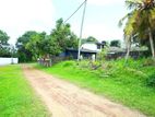 Superb Square Land for Sale Panadura (gorakana)