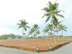Superb Valuable Land for Sale in Hikkaduwa