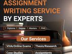 Superior Assignment Support Service