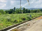 Superior Land For Sale In Eheliyagoda