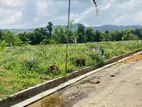 Superior Land For Sale In Eheliyagoda Town