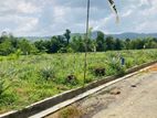 Superior Land for Sale in Eheliyagoda Town