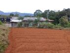 Super Land for Sale in Keppetipola