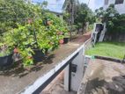 Suwarapala Moratuwa university close ground floor complete house sale .
