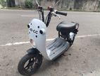 Suzuki 48 cc Bike 2018