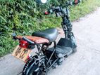 Suzuki 48cc 2022