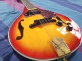 Suzuki A-Style Electric Acoustic Mandolin