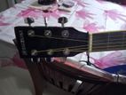 Suzuki- Acoustic Guitar