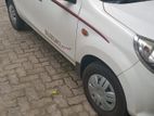 Suzuki Alto Car for Rent