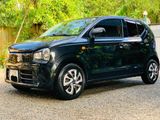 Suzuki Alto for Rent