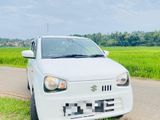 Suzuki Alto for Rent