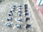 Suzuki Baleno Side Mirrors
