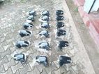 Suzuki Baleno side mirrors