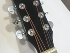 Suzuki Box Guitar