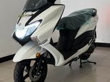 Suzuki Burgman 125 _ BrandNew 2026