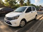 Suzuki Celario Car Rent
