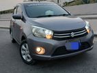 Suzuki Celerio 2015 Maximum Leasing Partner