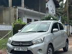 Suzuki Celerio 2016