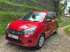 Suzuki Celerio 2024