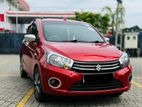 Suzuki Celerio Auto Car for Rent