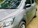 Suzuki Celerio Car for Rent