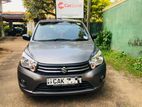 Suzuki Celerio Car for Rent